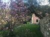 Apartamento Villa Olivari - Apt La Salvia