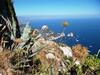 Apartamento Tra Montagne E Mare