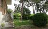 Hostal B&B Il Limone