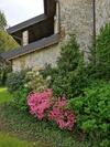 Agroturismo Mulino Stel