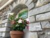 Casa Verde, Dongo, Lago Di Como