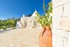 Apartamento Trullo Dei Sogni Con Jacuzzi