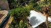 Hostal Le Camere Del Giardino
