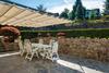 Apartamento Contessa Pace - Luxury Flat