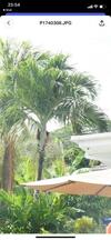 Hostal Ogumka, Self Catering , Beoliere, Mahe