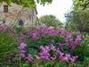 Apartamento Oltre Il Giardino