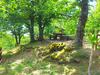 B&B Colle Angaro-azienda Agrituristica