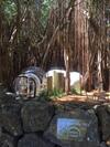 Bubble Lodge Ile Aux Cerfs Island