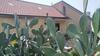 B&B Villa Caterina