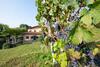 Bed & Breakfast Al-colle