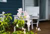 Chez Les Filles - Bungalodge