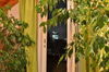 Apartamento Ajo Beach