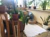 Lovely One Bedroom Apartment
