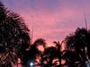 Hotel Aruba Surfside Marina
