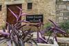 Hostal Torre Caetani- Night In A Medieval Tower