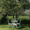 Hostal Lemon Tree Boutique Guest House