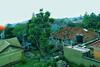 Vacation Rental Home Apartment