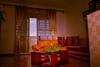 Vacation Rental Home Apartment