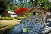Livingstone Camping Site, Bhimtal