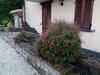 Agroturismo Agriturismo Il Melo