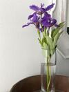 Bed & Breakfast Belcasale