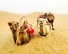 Dunhuang Manman International Desert Outdoor Campground