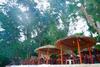 The Phura Villa Khaolak - Sha Extra Plus