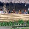 Villa Candy Home Stay