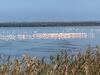 Apartamento Azul - Privacy Tranquillit� Natura E Mare