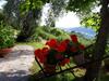 Bed & Breakfast La Gatta Sul Sentiero