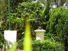 Hotel Las Palomas Express