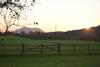 Ginevra's Country Home