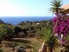 Villetta Rocchi - Costa Paradiso
