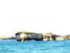 Tramontana Sea View Villa