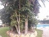 Apartamento Torre San Jordi