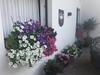 Apartamento Appartementhaus H�ttenberger