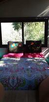 Torito's House