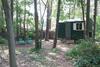 Wald Und Wohlsein
