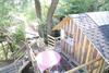 Treehouse B&B
