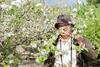 Villa Casa Da Eira "lavoura Da Bou�a - Fruta Bio"