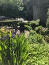 Bridge Cottage, Bainbridge, With Riverside Garden!