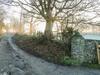 Charlottes Cottage