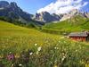 Holiday Home Pezzei Brixen/bressanone