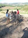 Hostal Chambre D'h�tes Et G�te Des Monts