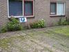 Bed & Breakfast Huize De Rode Beuk