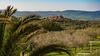 Agroturismo Agriturismo Bio Le Macchie Alte