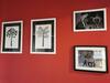 Lodge Chal� Mau� Conforto E Arte
