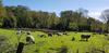Mountain View Bed & Breakfast, Kenmare, Co. Kerry, Ireland