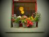 Kilkenny Tourist Hostel