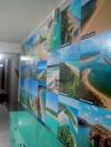 Posada Paju Hostel E Pousada Unidade Praiera